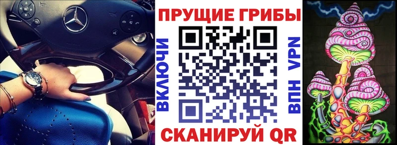 Псилоцибиновые грибы Psilocybe  Макушино 